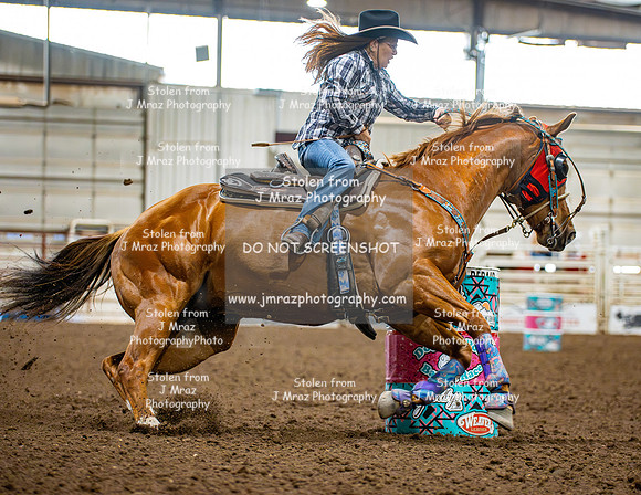 Dog&PonyShow-SaturdayAwards-88