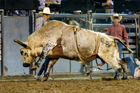 TooeleCountyRodeo-JMrazPhotography2024-BullRiding-9