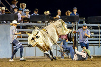 TooeleCountyRodeo-JMrazPhotography2024-BullRiding-8