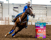 SatDog&PonyShow-May-JMrazPhotography-154
