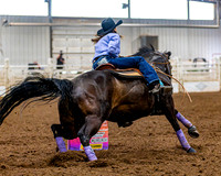 SatDog&PonyShow-May-JMrazPhotography-1661