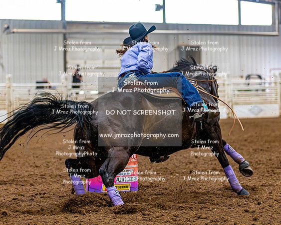 SatDog&PonyShow-May-JMrazPhotography-1661