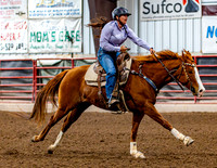 SatDog&PonyShow-May-JMrazPhotography-521