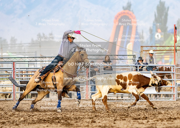TooeleCountyRodeo-JMrazPhotography-Roping-66