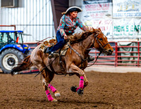 SatDog&PonyShow-May-JMrazPhotography-670