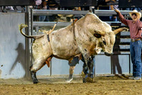 TooeleCountyRodeo-JMrazPhotography2024-BullRiding-7