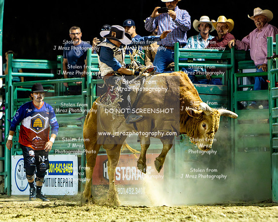 RMPRA-Alpine-JMrazPhotography-Bullriding-68