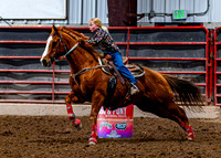 SatDog&PonyShow-May-JMrazPhotography-812