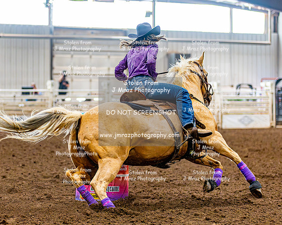 SatDog&PonyShow-May-JMrazPhotography-615