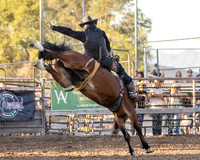 RMPRA-Genola-2024-JMrazPhotography-BarebackBronc-7
