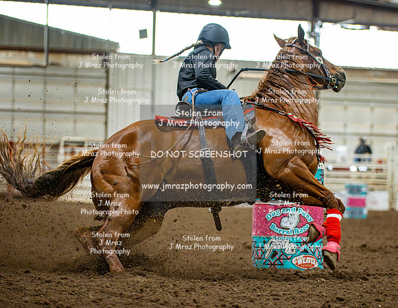 Dog&PonyShow-JMrazPhotography2024-3