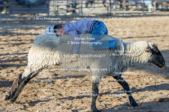 RMPRA-Genola-2024-JMrazPhotography-MuttonBusting-42