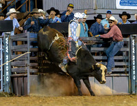 TooeleCountyRodeo-JMrazPhotography2024-BullRiding-14