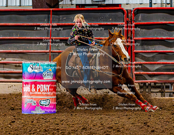 SatDog&PonyShow-May-JMrazPhotography-811