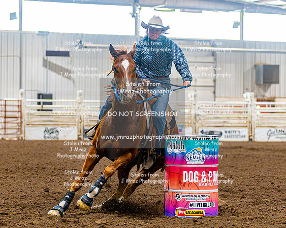 SatDog&PonyShow-May-JMrazPhotography-1103