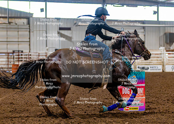 SatDog&PonyShow-May-JMrazPhotography-1480