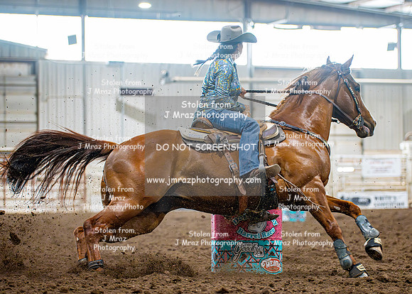 Dog&PonyShow-SaturdayAwards-991
