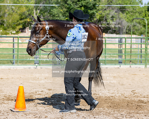 SLC4H-JMrazPhotography-3