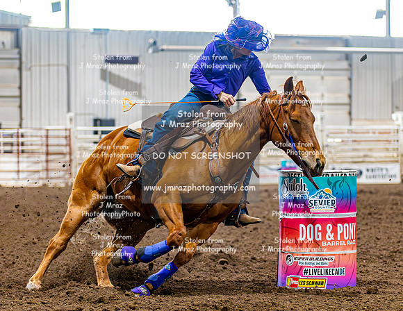 SatDog&PonyShow-May-JMrazPhotography-490