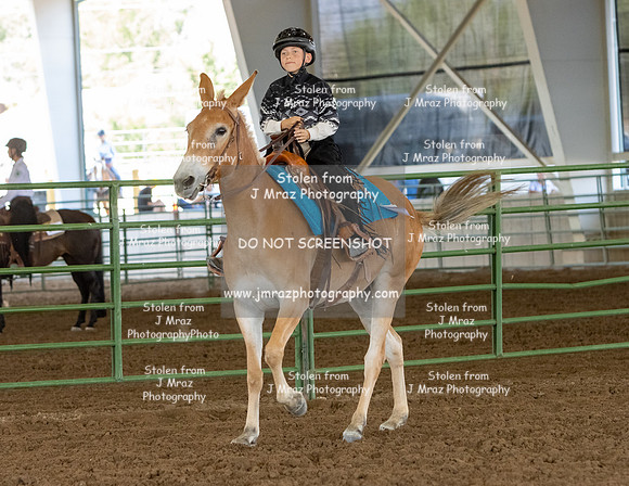 SLC4H-JMrazPhotography-5