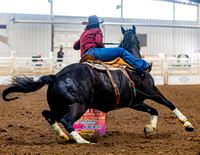 SatDog&PonyShow-May-JMrazPhotography-834