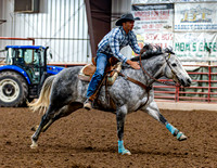 SatDog&PonyShow-May-JMrazPhotography-184