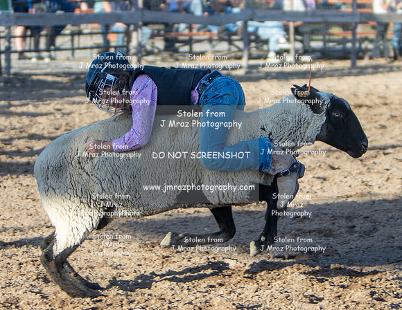RMPRA-Genola-2024-JMrazPhotography-MuttonBusting-59