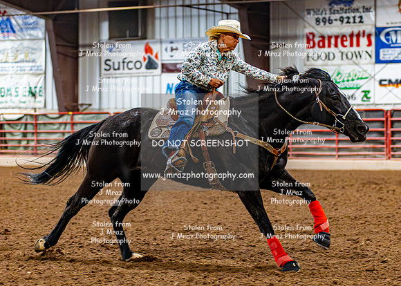 SatDog&PonyShow-May-JMrazPhotography-965