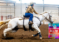 SatDog&PonyShow-May-JMrazPhotography-713