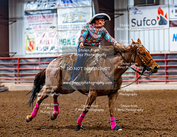SatDog&PonyShow-May-JMrazPhotography-671