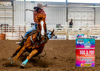 SatDog&PonyShow-May-JMrazPhotography-1616
