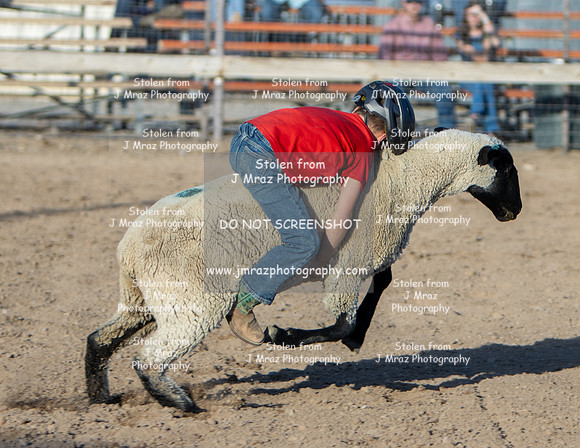 RMPRA-Genola-2024-JMrazPhotography-MuttonBusting-49