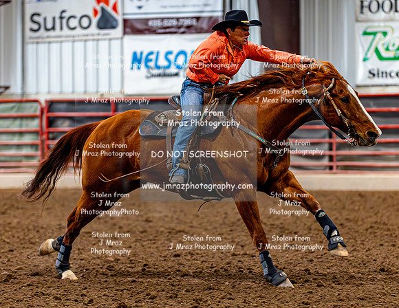 SatDog&PonyShow-May-JMrazPhotography-608