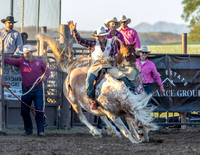 RMPRA-Genola-2024-JMrazPhotography-BarebackBronc-13