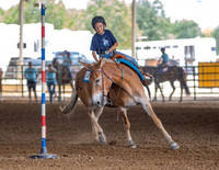 SLC4H-JMrazPhotography-19
