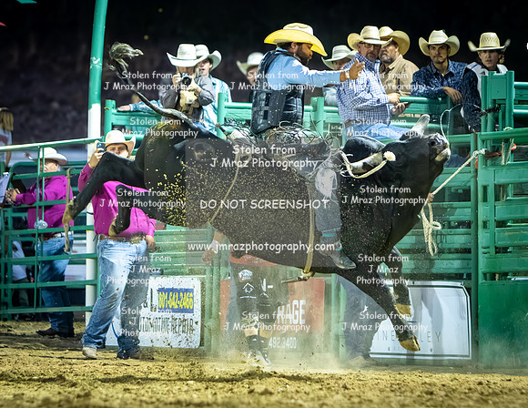 RMPRA-Alpine-JMrazPhotography-Bullriding-27