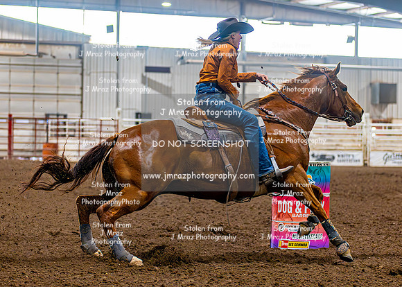 SatDog&PonyShow-May-JMrazPhotography-941