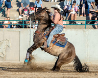 Breakaway Roping