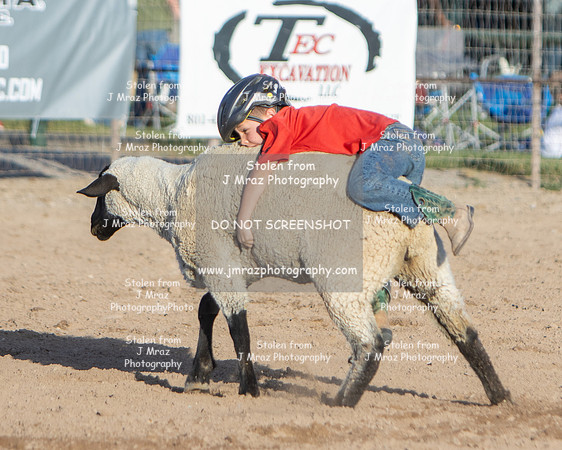 RMPRA-Genola-2024-JMrazPhotography-MuttonBusting-53