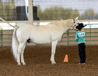 SLC4H-JMrazPhotography-1