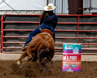 SatDog&PonyShow-May-JMrazPhotography-880