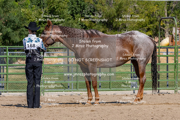 SLC4H-JMrazPhotography-4