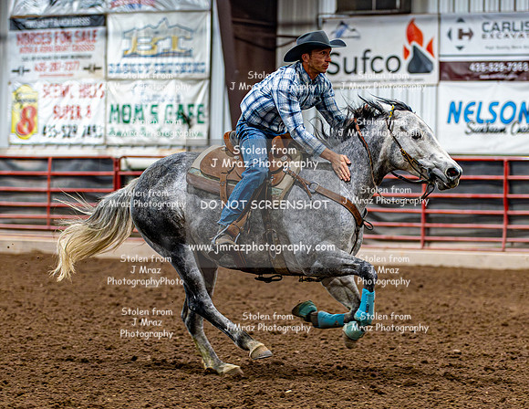 SatDog&PonyShow-May-JMrazPhotography-185