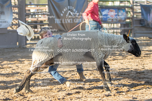 RMPRA-Genola-2024-JMrazPhotography-MuttonBusting-3