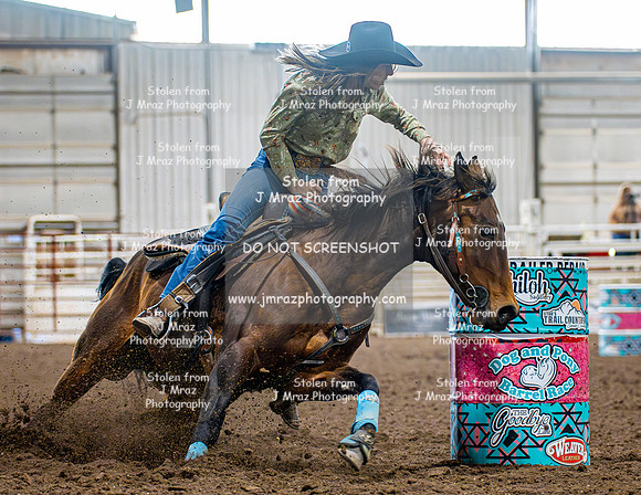 Dog&PonyShow-SaturdayAwards-710
