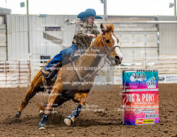 SatDog&PonyShow-May-JMrazPhotography-3