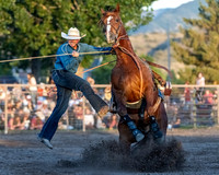 Tie Down Roping