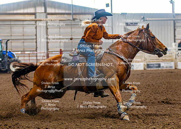 SatDog&PonyShow-May-JMrazPhotography-940