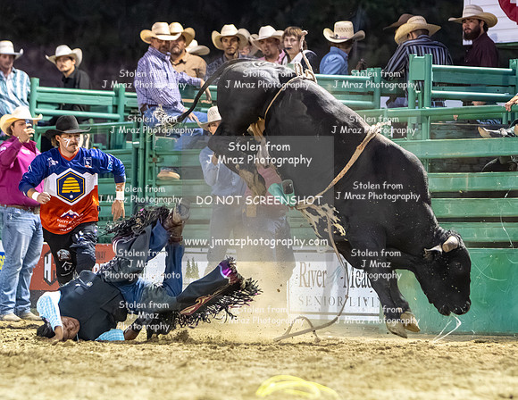 RMPRA-Alpine-JMrazPhotography-Bullriding-23