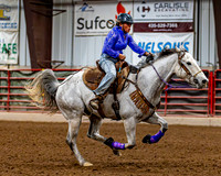 SatDog&PonyShow-May-JMrazPhotography-1886